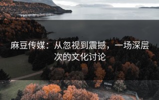 麻豆传媒：从忽视到震撼，一场深层次的文化讨论