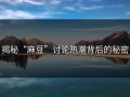 揭秘“麻豆”讨论热潮背后的秘密