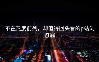 不在热度前列，却值得回头看的p站浏览器