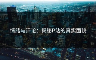 情绪与评论：揭秘P站的真实面貌
