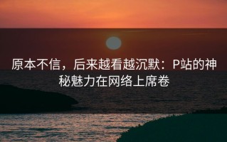 原本不信，后来越看越沉默：P站的神秘魅力在网络上席卷