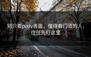 别只看pixiv表面，懂得看门道的人，往往先盯这里