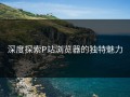 深度探索P站浏览器的独特魅力