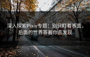 深入探索Pixiv专题：别只盯着表面，后面的世界等着你去发现