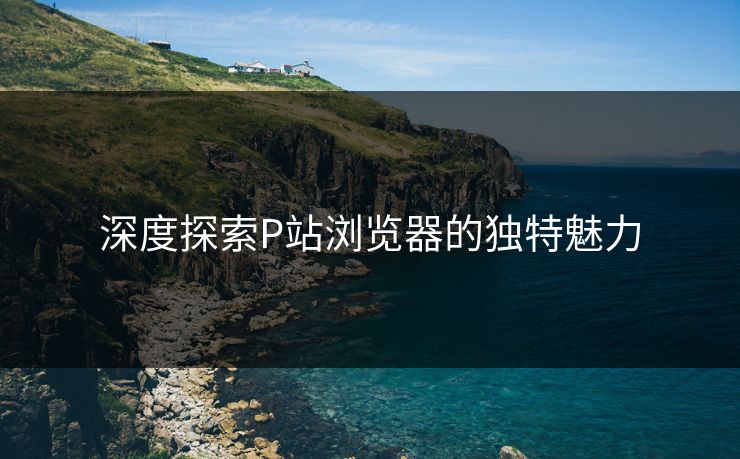 深度探索P站浏览器的独特魅力-第1张图片-p站网页版影视网 - p站内容页