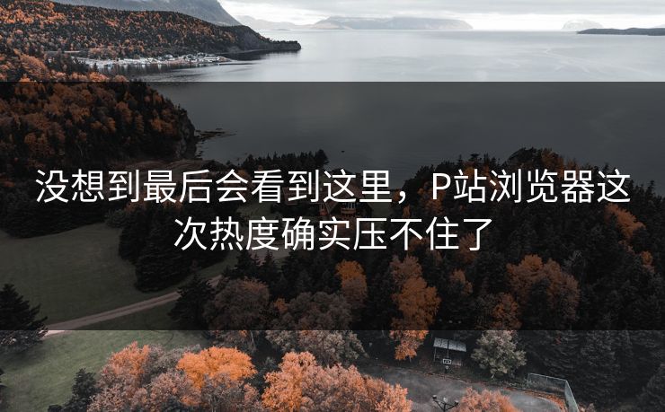 没想到最后会看到这里，P站浏览器这次热度确实压不住了-第1张图片-p站网页版影视网 - p站内容页