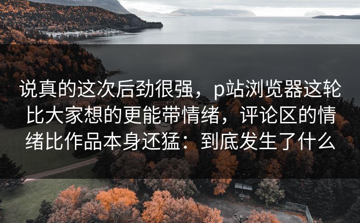 说真的这次后劲很强，p站浏览器这轮比大家想的更能带情绪，评论区的情绪比作品本身还猛：到底发生了什么-第1张图片-p站网页版影视网 - p站内容页